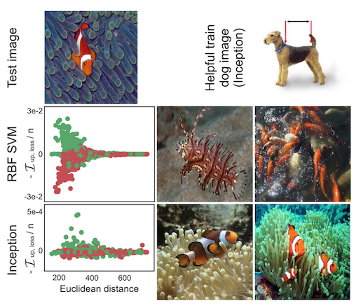 Dog or fish? For the SVM prediction (middle row) images that had similar colors as the test image were the most influential. For the neural network prediction (bottom row) fish in different setting were most influential, but also a dog image (top right). Work by Koh and Liang (2017)