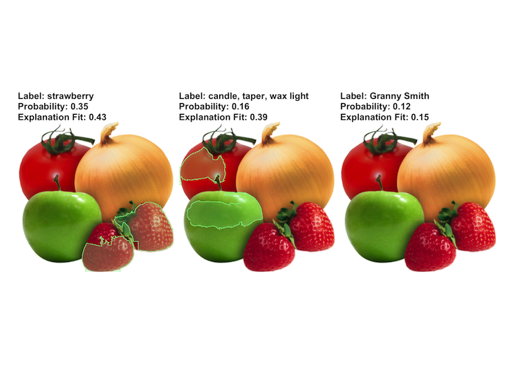 LIME expalanations for image classification. The example is taken from the lime R package.